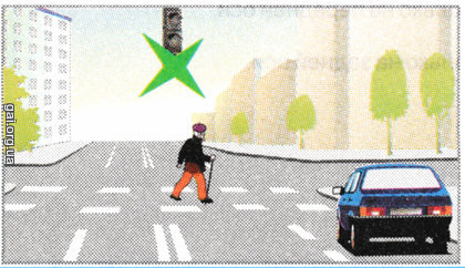 При включении зеленого сигнала светофора преимущество в движении имеет: