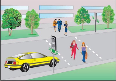 Как должен поступить водитель, если сигнал светофора разрешает ему движение, а пешеходы не успели перейти проезжую часть?