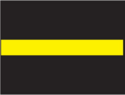 Сплошная жёлтая линия горизонтальной дорожной разметки в сочетании со знаком «Остановка запрещена» разрешает остановку: